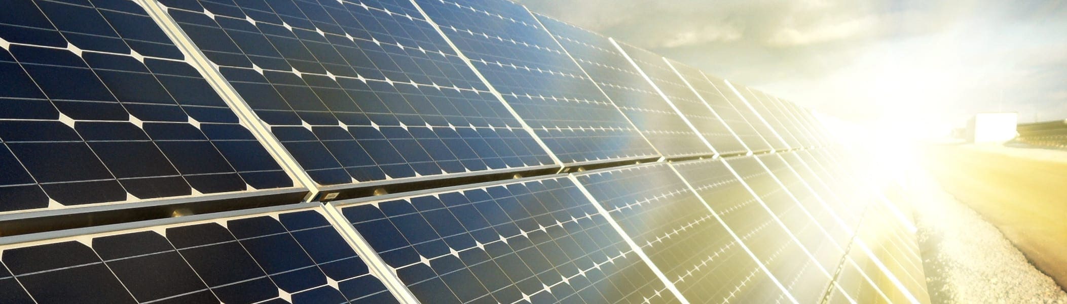 Lion’s Share goes Solar